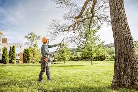Best Hedge Trimming  in Pleasant Grove, OH