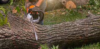 Best Soil Testing and Treatment  in Pleasant Grove, OH